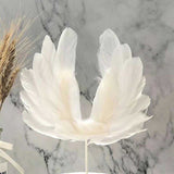 Cake Design<br/>Plume Gâteau