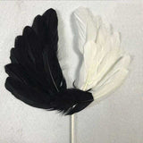Cake Design<br/>Plume Gâteau