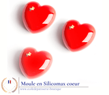 Flexi'Pro<br/>Les Moules Coeurs