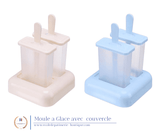 Matériel Pâtisserie<br/>Moule à Glace