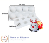 Moule Silicone Boule