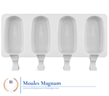 Moule Silicone magnum