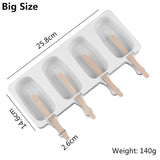 Moule Silicone magnum