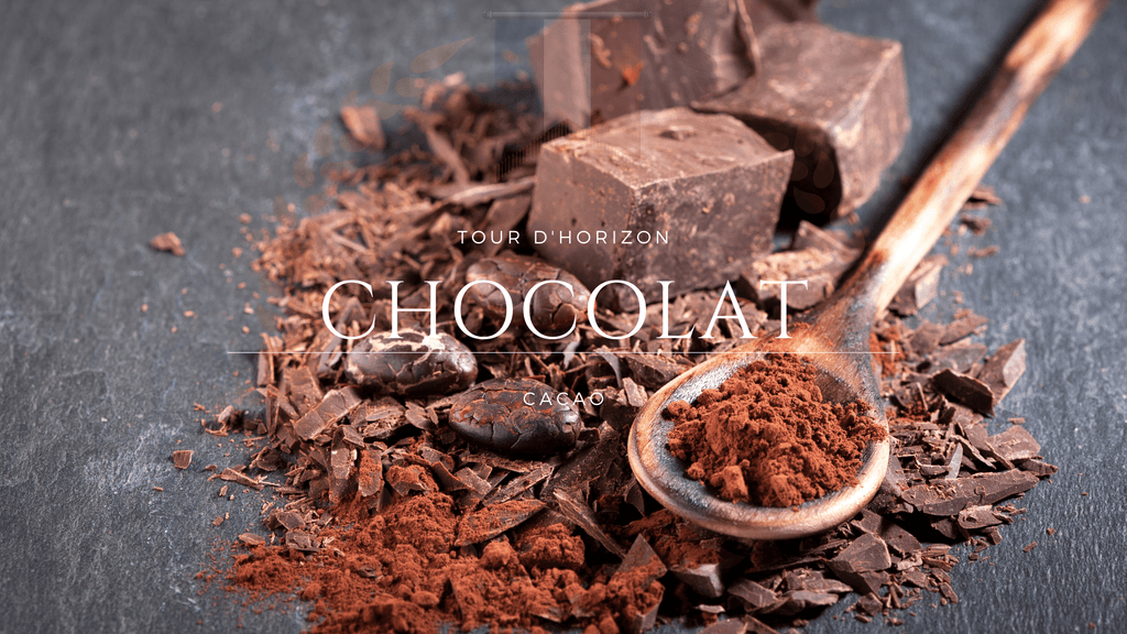 Chocolat et Cacao : Ce Qu'il faut Savoir ?