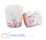 Emballage<br/>Caissette à Cupcake