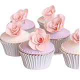 Emballage<br/>Mini Caissette cupcake
